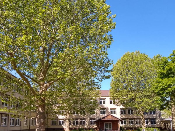 Osthof der Schule